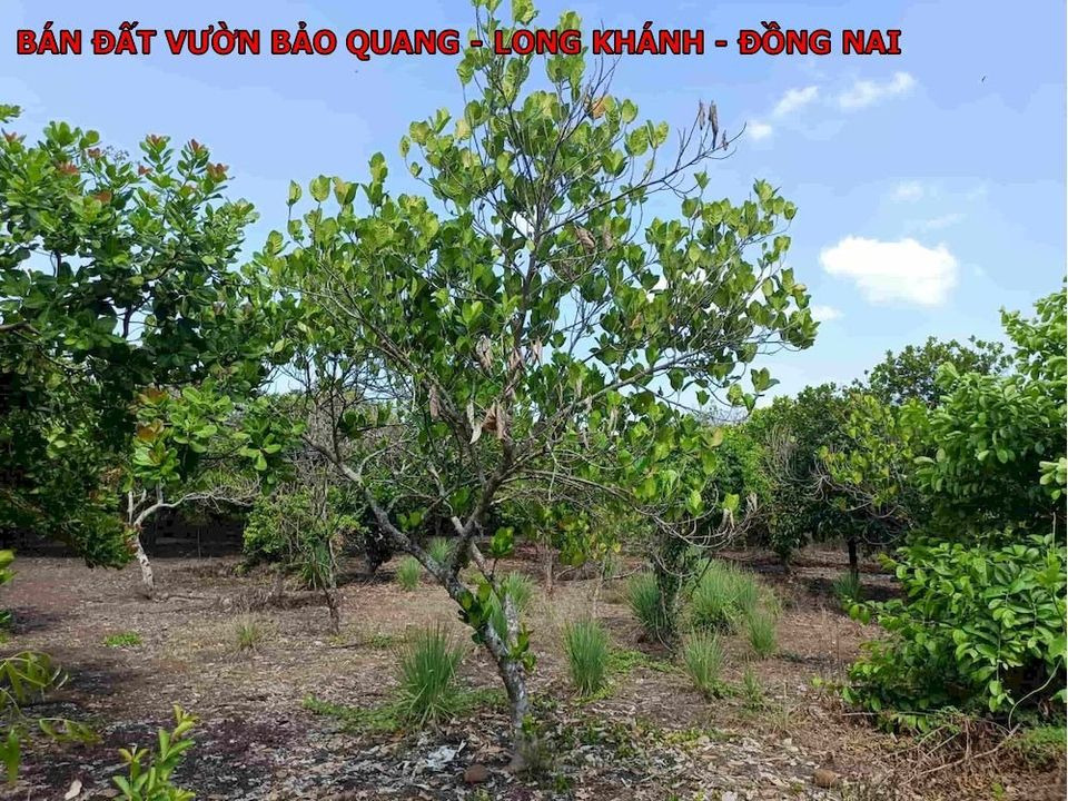 Bán đất thành phố Long Khánh tỉnh Đồng Nai giá 1.55 tỷ-0