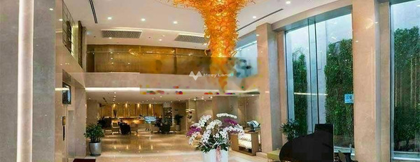 Bán nhà có diện tích 229m2 vị trí đẹp ngay ở Tân Bình, Hồ Chí Minh bán ngay với giá bàn giao chỉ 65 tỷ-03