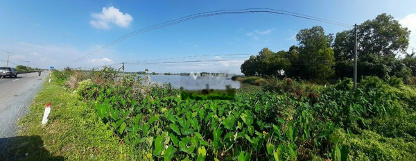 Bến Cầu, Tây Ninh bán đất giá bán quy định chỉ 41 tỷ diện tích là 19110m2-03