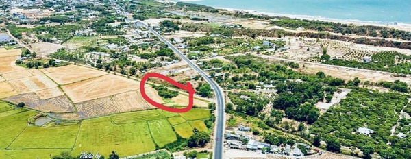 Đất Đỏ, Bà Rịa-Vũng Tàu bán đất giá đàm phán 5 tỷ có diện tích chung 566m2-03