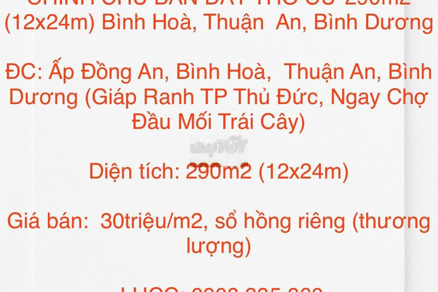 CHÍNH CHỦ BÁN ĐẤT 290m2 (12x24m) Bình Hoà, Thuận An, Bình Dương -01