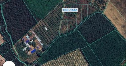 Cần bán nhà riêng huyện Trảng Bom tỉnh Đồng Nai giá 800 triệu-02