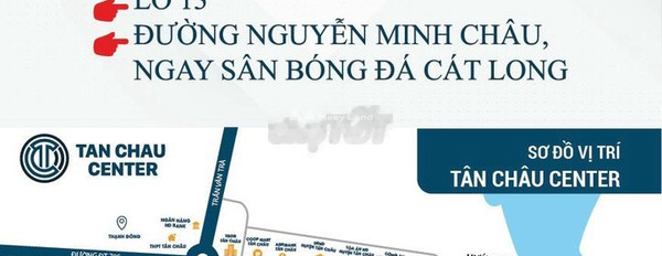 Giá 1.1 tỷ bán đất diện tích mặt tiền 250m2 tọa lạc gần Tân Châu, Tây Ninh-03