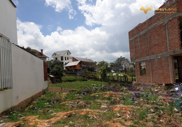 Cần bán lô đất xây biệt thự đẹp tại Mai Anh Đào, Phường 8, Đà Lạt
