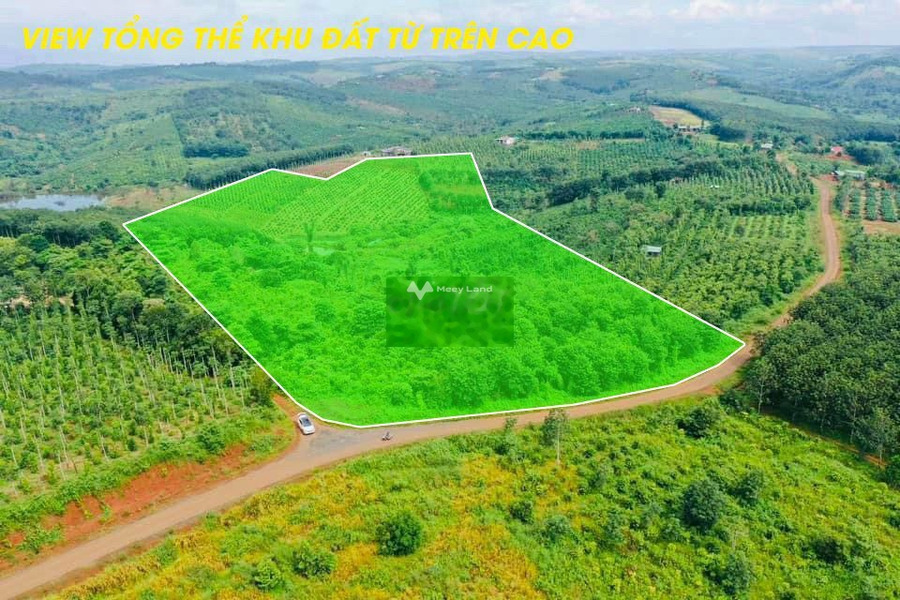 Gấp bán mảnh đất, 1585m2 giá gốc 239 triệu vị trí đặt tại trung tâm Đắk R'Tíh, Đắk Nông vui lòng liên hệ để xem trực tiếp-01