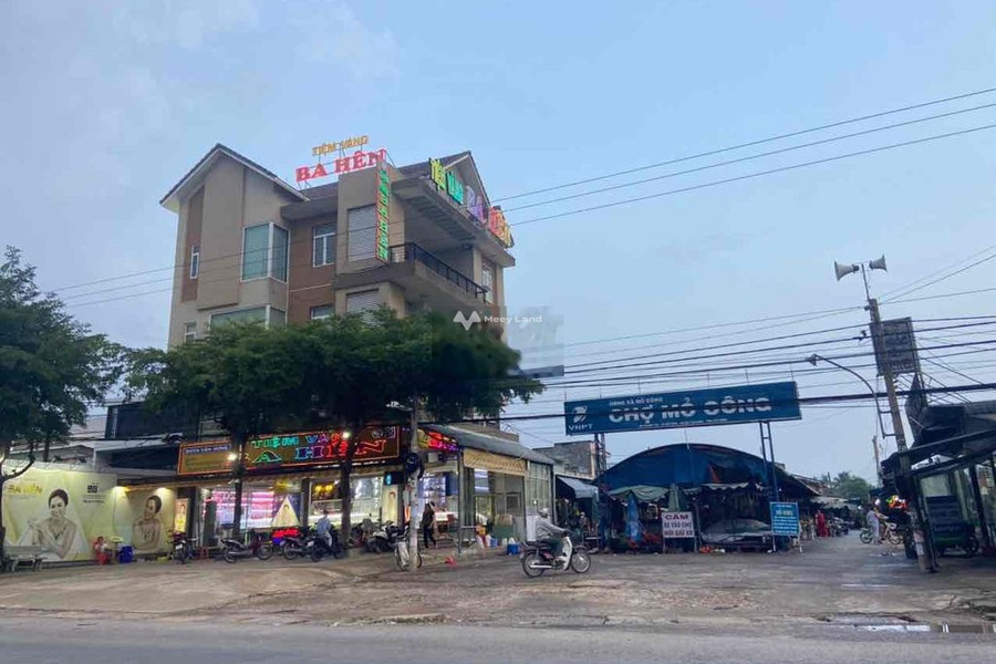 Khoảng 1.55 tỷ bán đất diện tích mặt tiền 495m2 vị trí đặt ngay Thanh Tân, Tân Biên-01