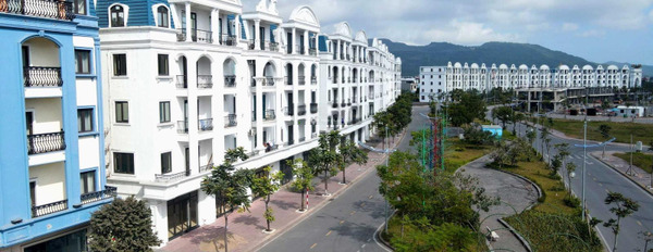 Vị trí dự án tọa lạc trên Green Dragon City, bán liền kề vị trí tiện lợi ngay tại Cẩm Phả, Quảng Ninh có diện tích khoảng 111m2-02