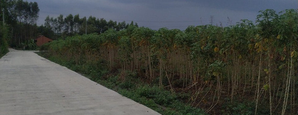 Cần bán gấp 1400m2 đất ONT tại Bàu Cạn, Long Thành, Đồng Nai-03