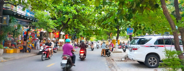 Chính chủ sổ cần bán ngay đất tại đường Nguyễn Huy Tưởng khu kinh doanh sầm uất -02