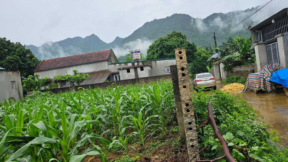 Bán kho bãi - nhà xưởng - khu công nghiệp huyện Yên Thủy tỉnh Hòa Bình giá 299.0 triệu-5