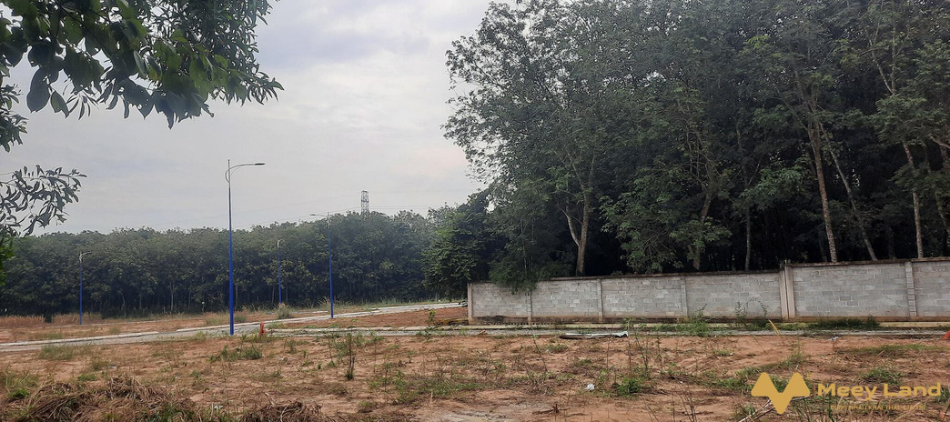Bán đất sau lưng ủy ban xã An Điền, trước đất là trường cấp 3 An Điền đang xây dựng