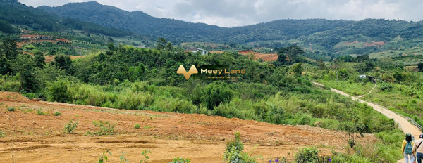 Tại Đông Thanh, Lâm Đồng bán đất 1.95 tỷ dt tổng 3149 m2-03