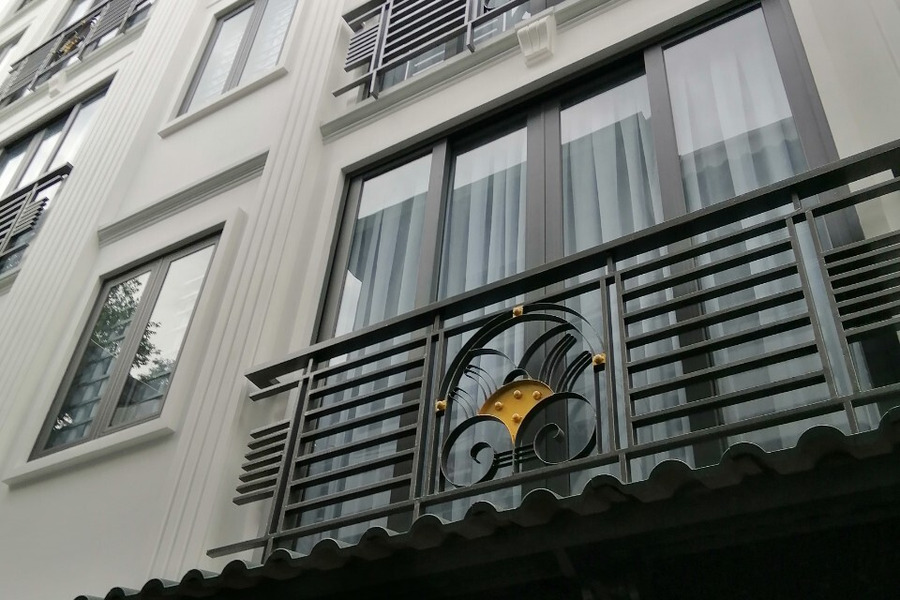 Nhà mới đẹp thang máy 1 trệt 4 lầu Trường Sa giáp Quận 1, Hồ Chí Minh-01