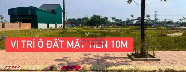 Yên Lạc, Vĩnh Phúc bán đất giá bán gốc 880 triệu diện tích đúng với trên ảnh 100m2-02