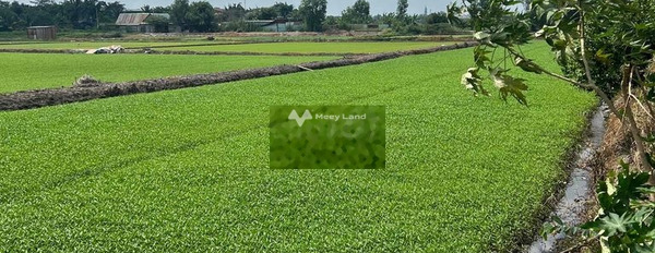 Tầm giá 1 triệu/tháng cho thuê đất có diện tích chuẩn 1500m2 vị trí mặt tiền ngay Đông Thạnh, Hóc Môn-02