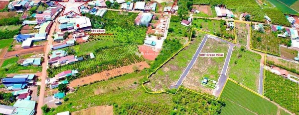 Ngay Tân Hội, Lâm Đồng bán đất giá bán chốt nhanh chỉ 12 tỷ có một diện tích 3214.9m2-03