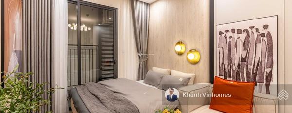 Bán căn hộ diện tích 33m2 vị trí nằm tại Gia Lâm, Hà Nội-02