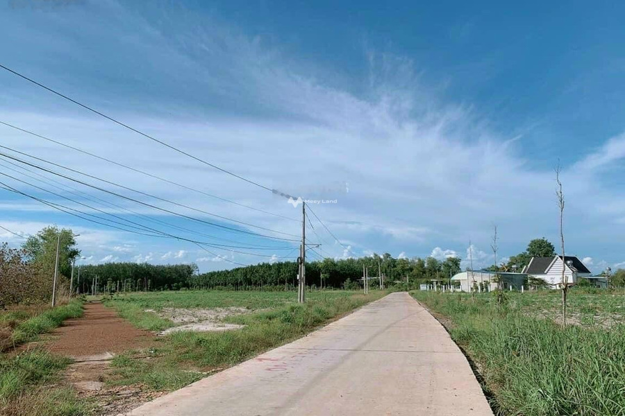 295 triệu bán đất có diện tích sàn 500m2 Phía trong Chơn Thành, Bình Phước-01