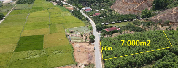 Giá khoảng 7 tỷ bán đất có diện tích chung là 7000m2 vị trí đẹp ngay trên Hương Lộ 62, Khánh Hòa-02