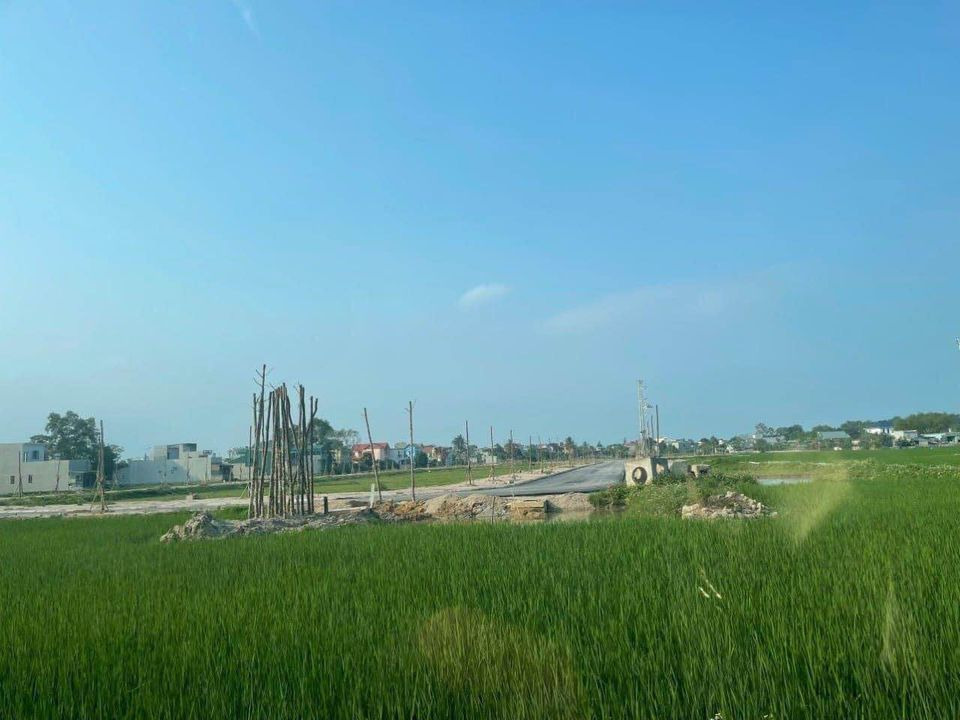 Bán nhà riêng thành phố Thanh Hóa tỉnh Thanh Hóa giá 1.42 tỷ-0
