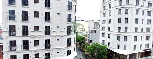 Cho thuê căn hộ chung cư huyện Hòa Vang thành phố Đà Nẵng, giá 7,9 triệu/tháng-03