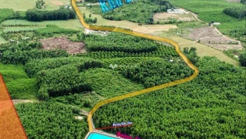 Giá phải chăng chỉ 285 triệu bán đất với diện tích 1107m2 vị trí đẹp ngay Diên Lâm, Khánh Hòa
