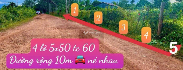 Bán đất tại Cư Ê Wi, Đắk Lắk. Diện tích 250m2-03