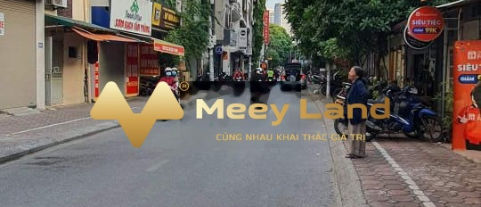 Bán nhà mặt phố Nguyễn Văn Tuyết 40m2, kinh doanh-03