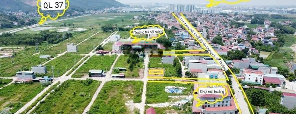Giá đề xuất 1.2 tỷ bán đất có diện tích tiêu chuẩn 72m2 nằm ngay Nội Hoàng, Bắc Giang, hướng Đông - Nam-02