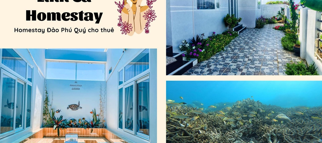 Linh Ca Homestay, homestay giá rẻ view đẹp tại Bình Thuận