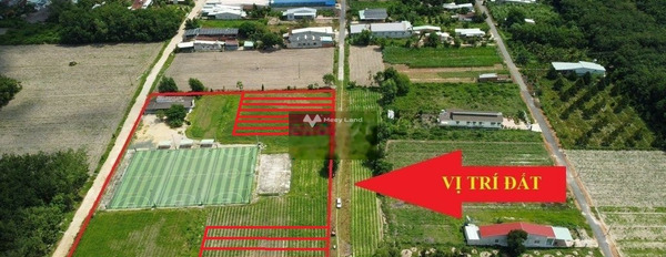 Bán đất giá bán hiện tại 900 triệu Nguyễn Minh Châu, Tân Châu-02