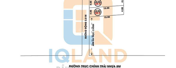 Giá 899 triệu bán đất có diện tích 60m2 vị trí đẹp tại Đường 3, Tiên Dược-03