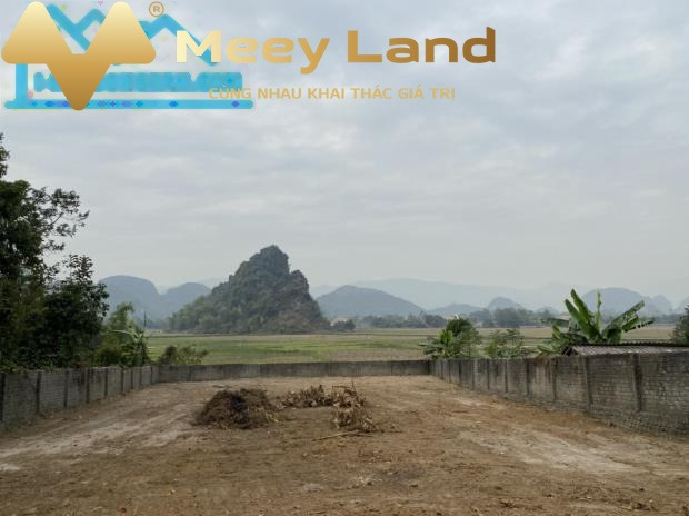 Bán đất 1445m2 view cánh đồng đẹp-01