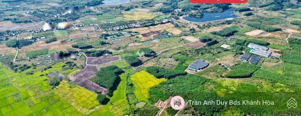 Gần Diên Tân, Diên Khánh bán đất, giá cực êm 345 triệu diện tích tiêu chuẩn 700m2-03
