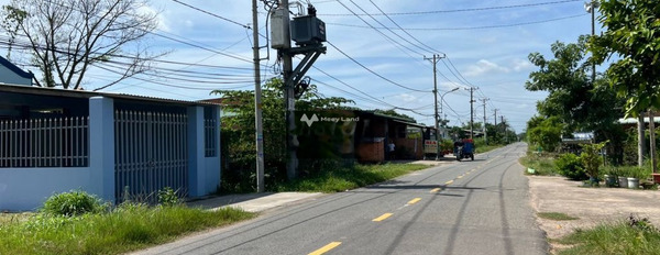 Bình Long, Bình Phước bán đất giá bán thỏa thuận chỉ 290 triệu diện tích quy đổi 250m2-03