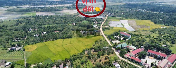 Cư Ê Wi, Đắk Lắk bán đất giá chốt nhanh từ 419 triệu diện tích rộng 609m2-03