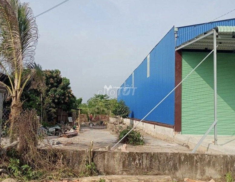 Xuyên Mộc, Bà Rịa-Vũng Tàu bán đất giá bán liền 2 tỷ diện tích thực dài 300m2-01