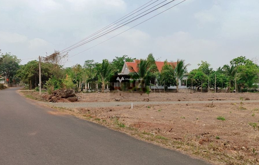 Bán đất 400 triệu Trảng Bom, Đồng Nai diện tích rộng lớn 120m2-01