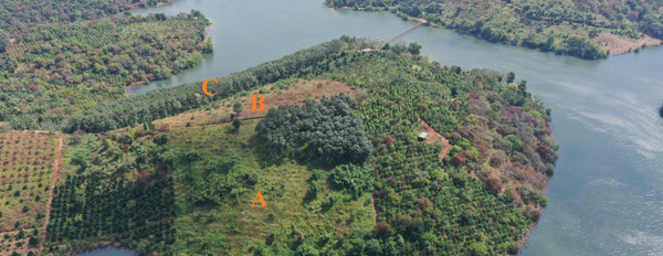 Đất sào view hồ Đắk Tik, tỉnh Đăk Nông, 450 triệu/sào-02