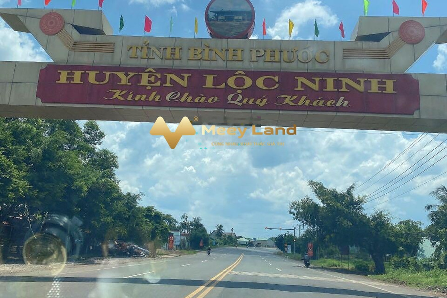 Lộc Ninh, Bình Phước bán đất giá tốt 800 triệu có dt chung là 1000 m2-01