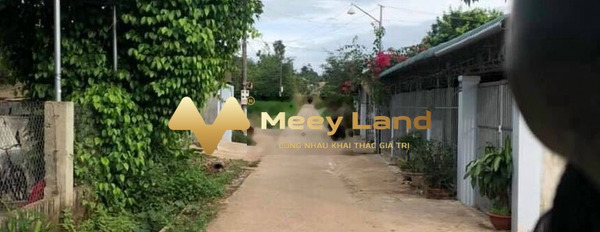 Ngay trên Thành Nhất, Đắk Lắk bán đất, giá bán cực sốc chỉ 570 triệu với tổng diện tích 100 m2-02