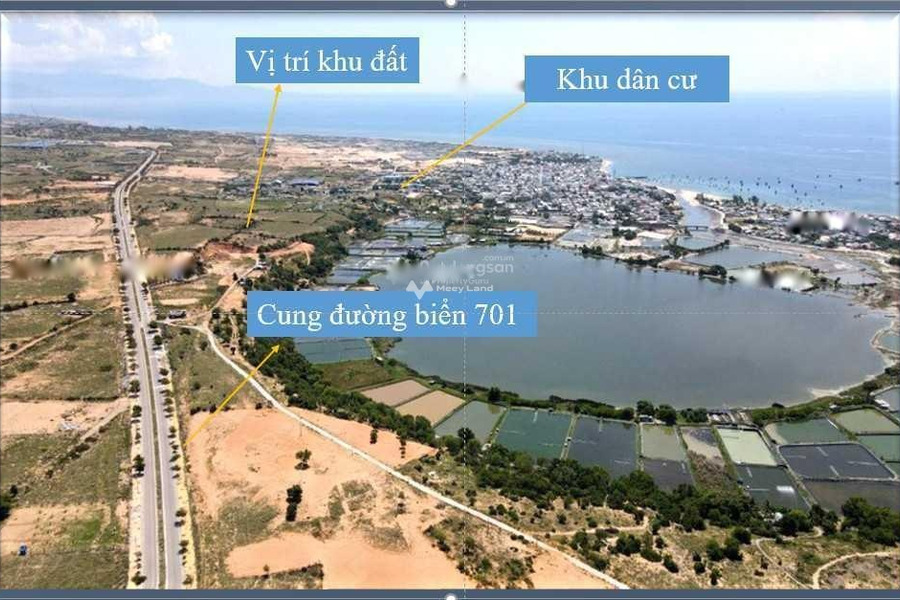 Phước Dinh, Ninh Thuận bán đất giá gốc chỉ 2.16 tỷ có diện tích sàn 770m2-01