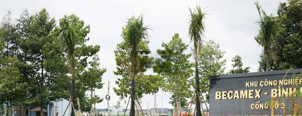 490 triệu bán đất diện tích dài 500m2 gần Tân Uyên, Bình Dương-03