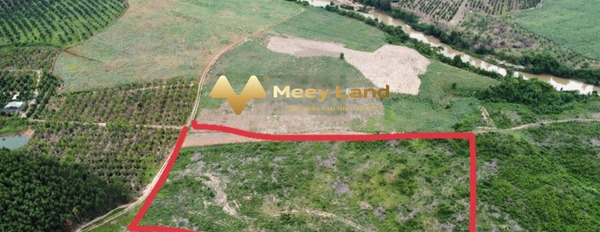 Bán mảnh đất, giá bán 700 triệu, hướng Đông Nam, diện tích khoảng là 10625m2-02