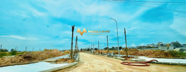 Bán đất tại Rùa Vàng City, Lạng Giang, Bắc Giang. Diện tích 70m2, giá 999 triệu-03