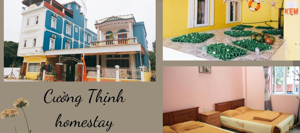 Cho thuê Homestay Cường Thịnh