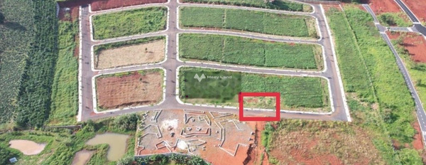Ở Bảo Lâm, Lâm Đồng bán đất 450 triệu có diện tích quy ước 96m2-03