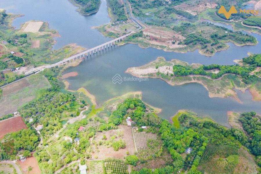 Đất xây biệt thự nhà vườn view hồ Suối Rao, Châu Đức, Bà Rịa - Vũng Tàu, giá 1,1 tỷ, diện tích 500m2-01