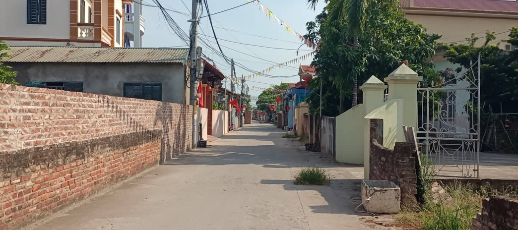 Bán đất Xóm Trong, Thư Phú, Thường Tín, giá vài trăm triệu