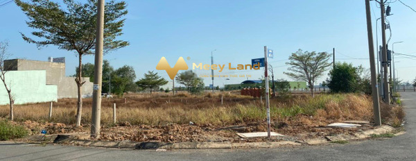 Tại Khu dân cư Tân Đô 3.69 tỷ bán đất dt chung 155.5 m2 vị trí ở Huyện Đức Hòa, Tỉnh Long An-03